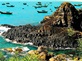 Tour kích cầu Quy Nhơn - Tuy Hòa 2020